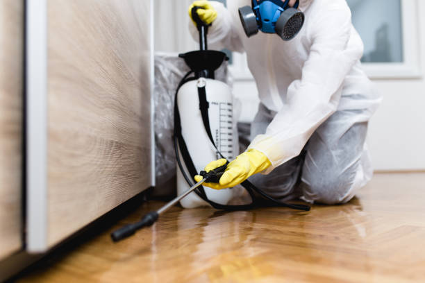 Best Flea Control Services  in North Newton, KS