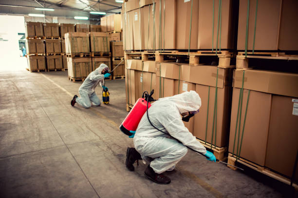 Best Affordable Pest Control Services  in North Newton, KS