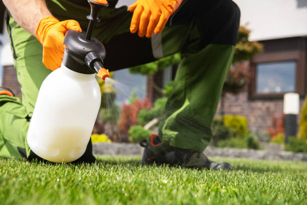Best Commercial Pest Control Services  in North Newton, KS