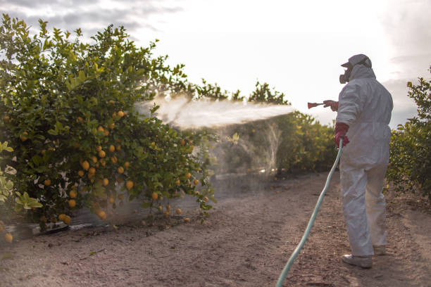 Best Commercial Pest Control Services  in North Newton, KS
