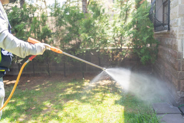 Best Rat Extermination Near Me  in North Newton, KS