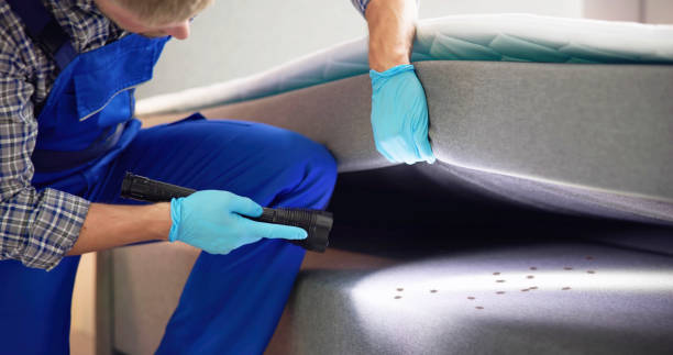 Best Mosquito Control Services  in North Newton, KS