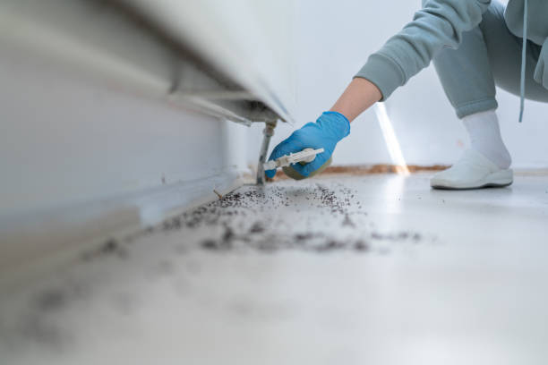 Best Pest Control Near Me  in North Newton, KS